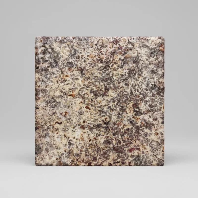 Mycelium panel