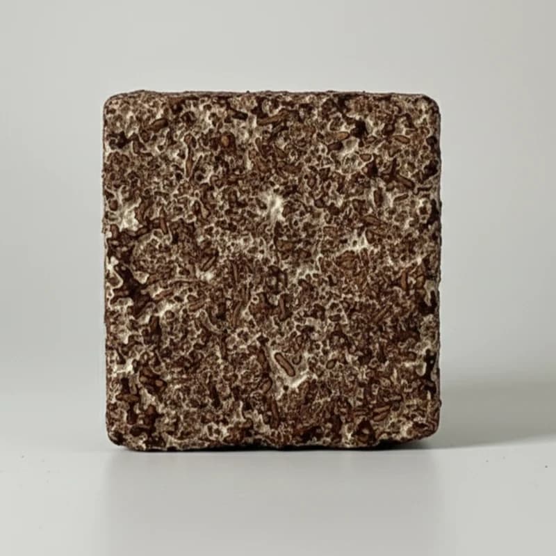 Mycelium panel